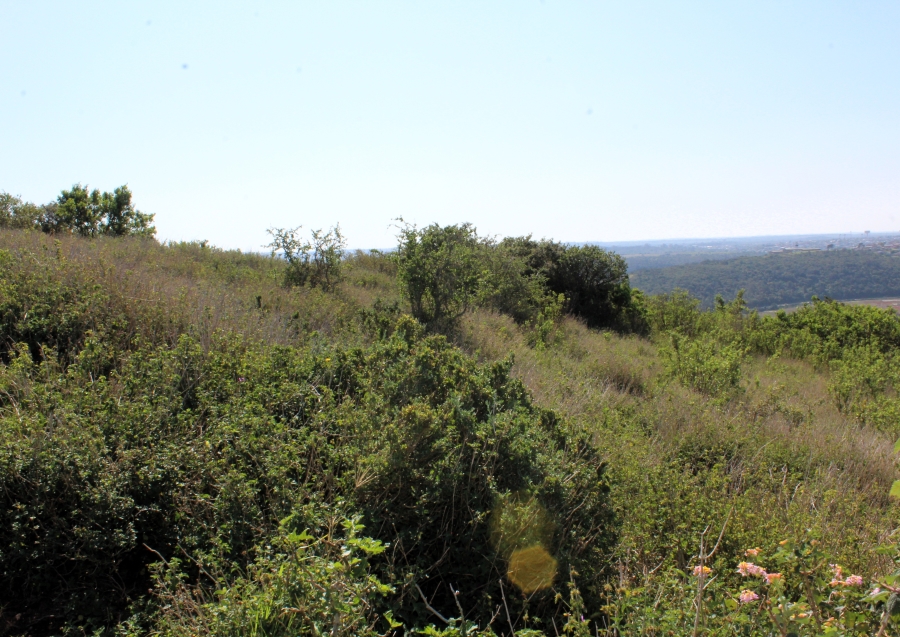 0 Bedroom Property for Sale in Riverview Water Front Estate Eastern Cape